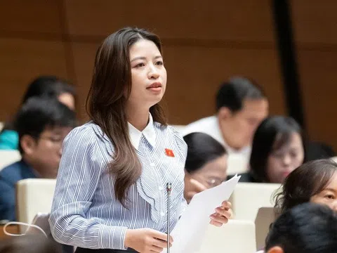 "Những giáo viên bị bạo lực phải sống trong lo sợ, dễ tổn thương"