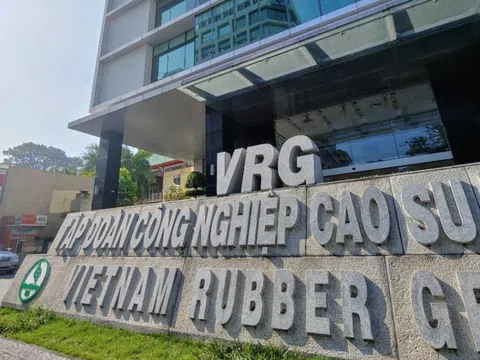 Tập đoàn Công nghiệp Cao su Việt Nam (GVR) dự chi khoảng 1.600 tỷ đồng trả cổ tức