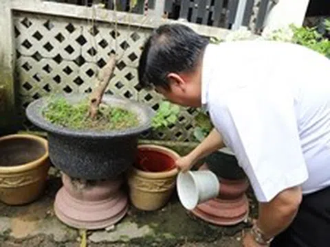 TP Hồ Chí Minh ghi nhận hơn 25.500 trường hợp mắc sốt xuất huyết