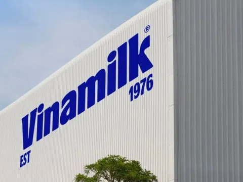 Vinamilk (VNM): Doanh thu quý 3 tăng 9,1%, thị trường quốc tế bứt phá 32,6%