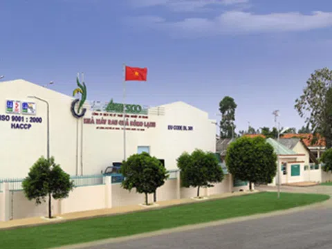 Lãi 9 tháng vượt 118% kế hoạch, 'vua' rau củ đông lạnh Antesco (ANT) nắm 521 tỷ tiền mặt, xúc tiến lên HOSE