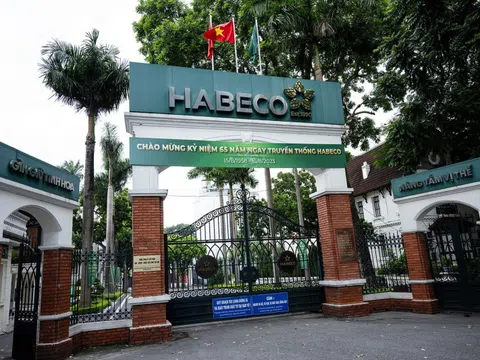 Habeco (BHN): Lãi quý 3/2025 tăng 71,4% lên 294,2 tỷ đồng, biên lợi nhuận cao nhất 5 năm