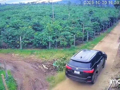 Tông người đi xe máy tử vong, tài xế lái ô tô bỏ trốn vào rẫy cà phê