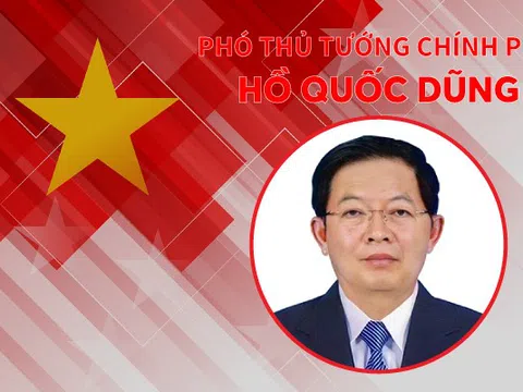 INFOGRAPHICS: Tiểu sử tân Phó Thủ tướng Chính phủ Hồ Quốc Dũng