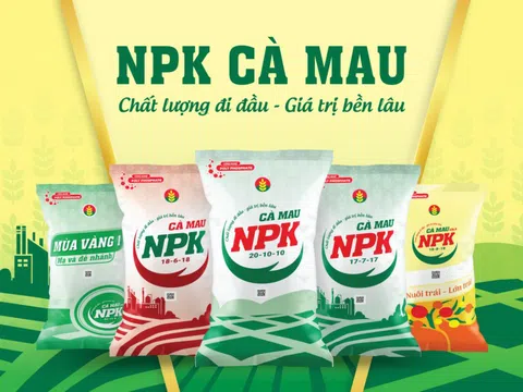 Đạm Cà Mau (DCM) báo lãi quý III/2025 tăng 2,7 lần cùng kỳ