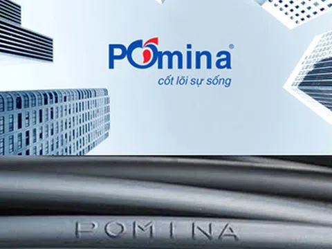 Pomina (POM) báo lỗ 512 tỷ đồng sau 9 tháng, vốn chủ sở hữu âm gần 187 tỷ đồng