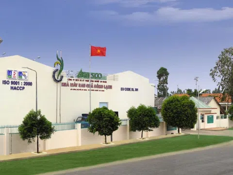 Antesco chốt kế hoạch chuyển sàn niêm yết lên HoSE trong quý IV/2025