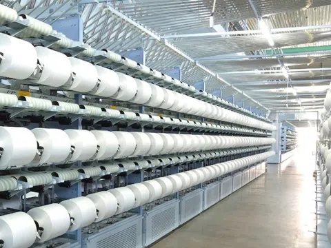 Sợi Thế Kỷ (STK) bị truy thu 444,2 triệu đồng tiền thuế, lợi nhuận quý 3/2025 giảm 87%