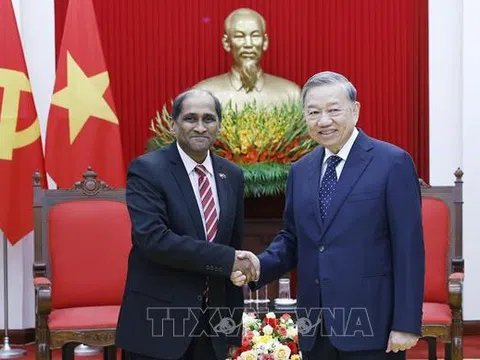 Tổng Bí thư Tô Lâm tiếp Đại sứ Singapore tại Việt Nam