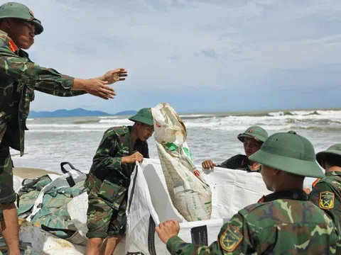 Nỗ lực dựng kè chắn sóng, bảo vệ bờ biển Hội An trước bão Kalmaegi