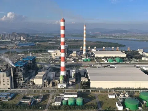 Nhiệt điện Hải Phòng: Lần đầu báo lỗ và lương lãnh đạo tăng gấp đôi trong năm 2025