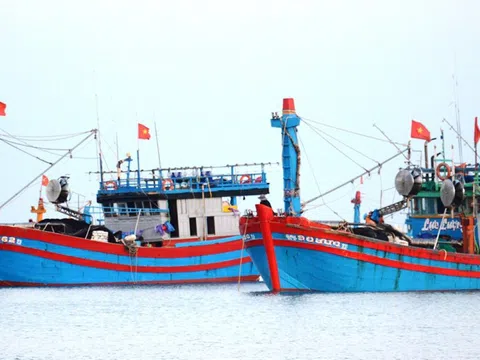 Thanh Hóa: Cần nâng cấp hệ thống VMS để chống khai thác IUU