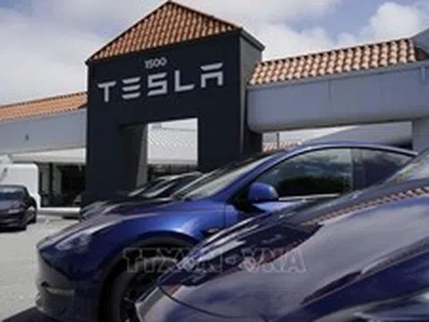 Tesla kỳ vọng vào robotaxi giữa lúc doanh số xe EV giảm mạnh