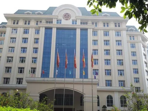 Ngành thuế cấp bách khảo sát, hoàn thiện cơ sở dữ liệu hộ kinh doanh