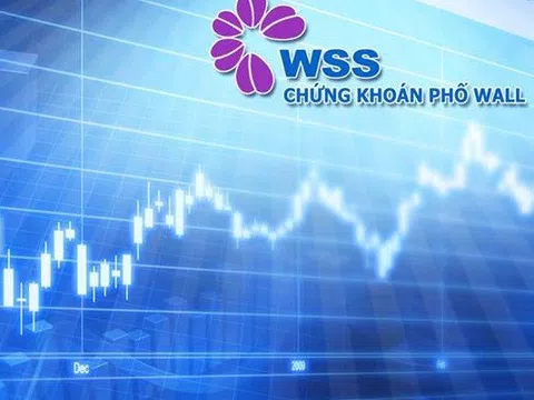 Chứng khoán Phố Wall (WSS) thoái toàn bộ 14,76% vốn tại Thực phẩm Hà Nội (HAF) khi HAF lỗ 5 năm liên tục