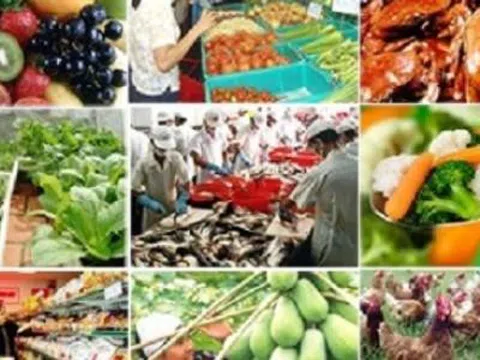 Đề xuất tăng mức xử phạt vi phạm về an toàn thực phẩm