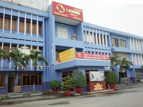 Casumina (CSM) có 2 Phó Tổng Giám đốc mới, lãi ròng quý 3 tăng 17% bất chấp doanh thu giảm