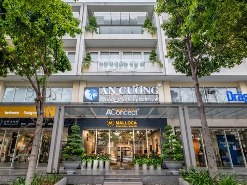 Gỗ An Cường (ACG) cho Thắng Lợi Homes vay 200 tỷ đồng, ngay sau khi giảm sở hữu tại công ty này xuống 25,5%