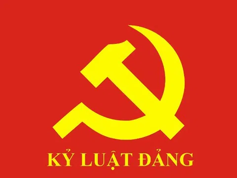 Ban Bí thư xem xét, thi hành kỷ luật đảng viên vi phạm