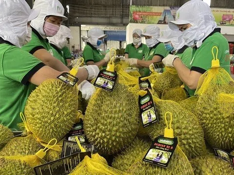 Ban hành quy trình kiểm soát an toàn thực phẩm đối với quả sầu riêng tươi xuất khẩu