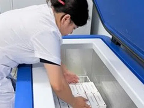 WHO hỗ trợ 9.000 liều vaccine phòng dại cho hai tỉnh có nguy cơ cao tại Việt Nam