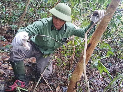 Hành trình vào rừng sâu gỡ "bẫy tử thần" giải cứu động vật hoang dã