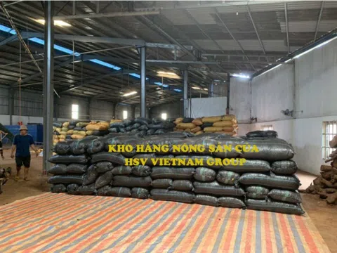 Phát hành giá 10.000 đồng/cp, Tập đoàn HSV Việt Nam (HSV) huy động 150 tỷ dồn vốn cho mảng vận tải thủy