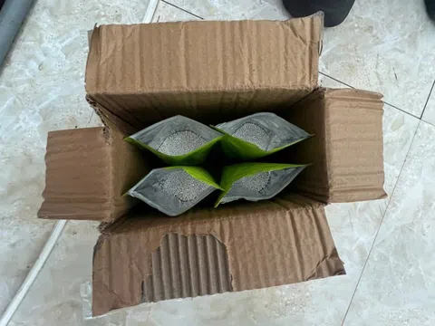 Cất giấu 20kg bạc dưới đế giày vận chuyển qua biên giới, nhóm đối tượng bị khởi tố