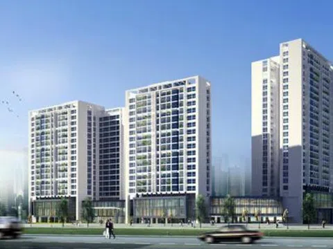 Hà Nội chuyển mục đích gần 3 ha đất tại Vĩnh Hưng để xây Khu tổ hợp nhà ở, thương mại và trường học