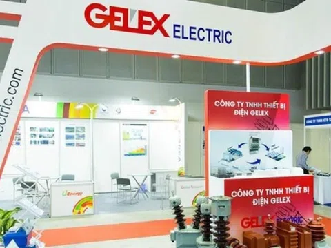 GELEX luân chuyển lãnh đạo, Giám đốc Kiểm toán nội bộ Tập đoàn giữ chức Phó Tổng Giám đốc GELEX Electric
