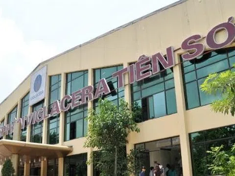 Viglacera Tiên Sơn (VIT) thông qua phương án sáp nhập VIH, TLT, dự kiến phát hành 18,8 triệu cổ phiếu