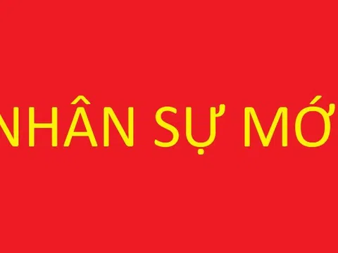 Phê chuẩn kết quả bầu, miễn nhiệm chức vụ Phó Chủ tịch UBND tỉnh Hà Tĩnh