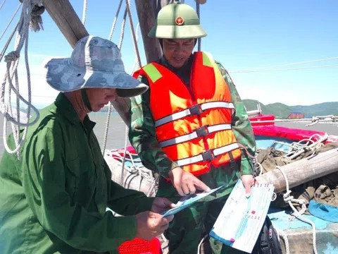 Quảng Trị: Niêm phong tàu cá không đủ điều kiện hoạt động