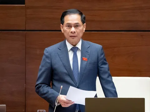 Phó Thủ tướng Bùi Thanh Sơn: Luật Thương mại điện tử phải vừa kiến tạo phát triển, vừa bảo vệ người tiêu dùng