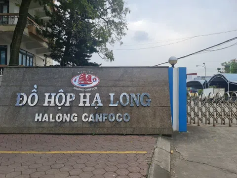 Doanh thu 9 tháng giảm 10%, Đồ hộp Hạ Long (CAN) vẫn báo lãi quý III gấp 3,5 lần, tìm hướng đi ở mảng 'thực phẩm thú cưng'