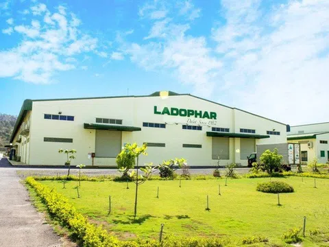 Hai quỹ không nộp tiền, Ladophar (LDP) chỉ huy động được 59 tỷ, APC Holdings lộ diện
