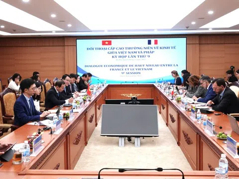 Đối thoại cấp cao thường niên về kinh tế Việt Nam - Cộng hoà Pháp