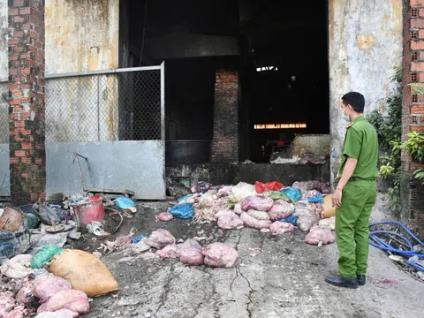 Phát hiện cơ sở chế biến mỡ động vật trái phép quy mô lớn trong nghĩa trang