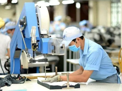 'Cơn mưa' cổ tức dệt may 2025: May Sông Hồng (MSH) chi 450 tỷ, TNG và Phong Phú ấn định ngày chốt quyền