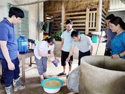 Xử lý nhanh điểm ô nhiễm để ngăn chặn dịch bệnh sau thiên tai