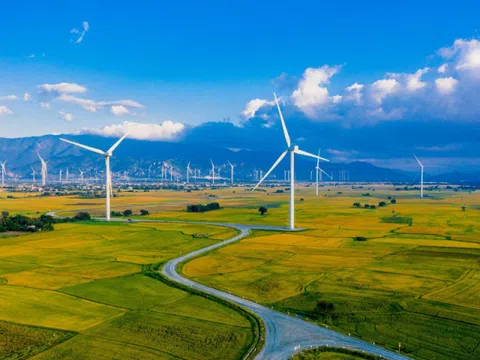 Dẫn đầu điện gió Đông Nam Á, Việt Nam chiếm 73% công suất điện gió