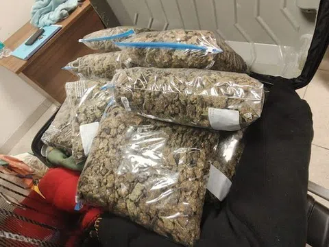 Kiểm tra chiếc vali, phát hiện thứ trị giá 29,7 tỷ đồng