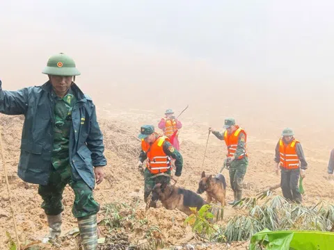 Tăng cường 'cảnh khuyển' tìm kiếm nạn nhân trong vụ sạt lở núi ở Đà Nẵng