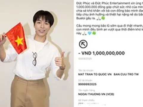 Dàn sao Việt ủng hộ đồng bào chịu ảnh hưởng bởi bão số 10