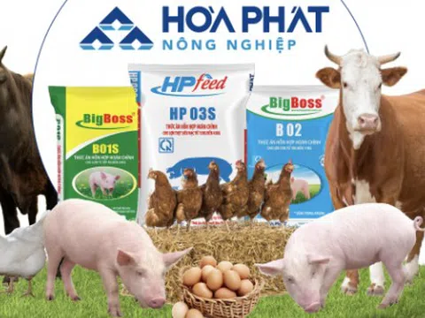 Lợi nhuận 6 tháng 2025 đạt 939 tỷ, Nông nghiệp Hòa Phát (HPA) nộp hồ sơ lên HOSE, hé lộ 10 năm "làm thật" mảng chăn nuôi