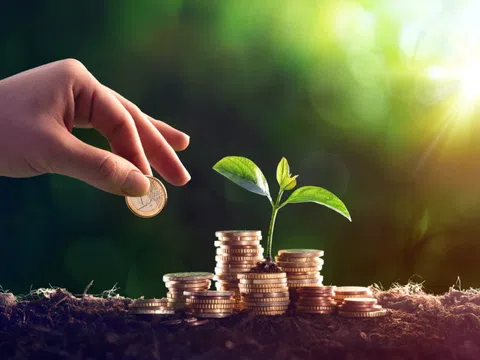 Vinamilk, Sabeco, Nhựa Bình Minh (BMP) trả cổ tức: Các tập đoàn Thái Lan đã thu về 35.000 tỷ đồng