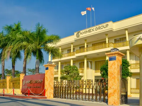 Camimex Group (CMX) thoái sạch vốn khỏi đơn vị liên kết, bỏ ngỏ tương lai dự án 3.650 tỷ đồng tại Quảng Trị