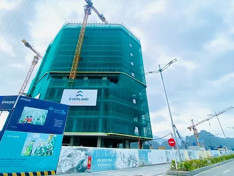 Everland (EVG) biến động nhân sự cấp cao, lãi quý 3 tăng 78% nhờ doanh thu tài chính