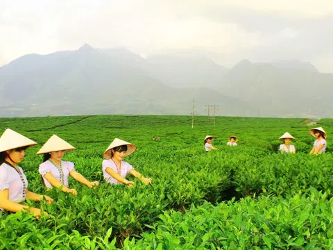 Sắp diễn ra Ngày hội sản phẩm vùng đồng bào dân tộc thiểu số và miền núi phía bắc