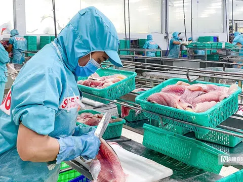 Sắp đến mùa cao điểm, doanh nghiệp thủy sản điều chỉnh hàng tồn kho thế nào?